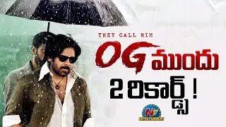 OG Movie Collections Update | Pawan Kalyan | Priyanka Mohan | Sujeeth || @NTVENT