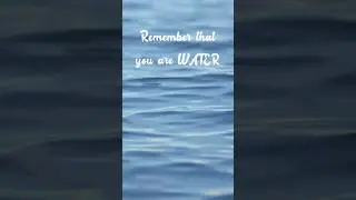 Remember that you are WATER 💧 ✨️  #mindintern #believeinyourself #fiveelements