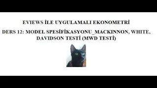 EVIEWS İLE UYGULAMALI EKONOMETRİ_ MODEL SPESİFİKASYONU: MACKINNON, WHITE, DAVIDSON TESTİ (MWD TESTİ)