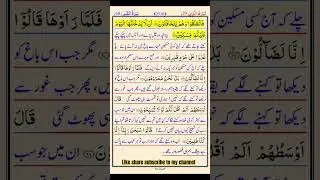 #shortvideo #viralvideo #alquran #usa #duet #shorts #urdu #pakistan #egypt #iran #china #new #quran