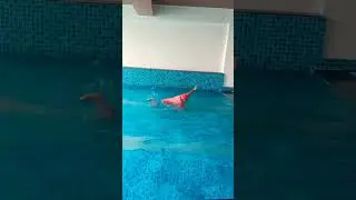 #swimlife#loveswimming#in the water #waterworkout