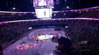 2019 Orlando Solar Bears Intro