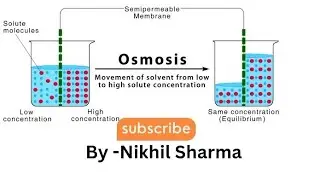 Osmosis || solution || || colligative property || Class 12 || #chemistry