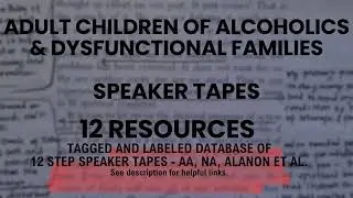The Loving Parent Guidebook Reparenting Check-in Workshop - ACA Speaker Meeting