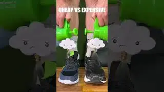 I tested cheap vs expensive sneakers!