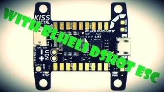 KissFC + Blheli Dshot ESC + RS2205