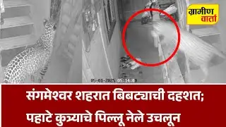 Sangmeshwer | Leopard Attack's on Dog | संगमेश्वर येथे बिबट्याची दहशत |