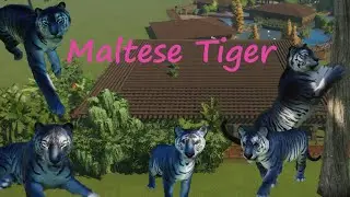 Kitty House and Maltese Tiger - Future Life Asia - Planet Zoo
