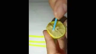 🍋 magic #youtubeshorts#shorts#ytshorts#lemonexperiment#science#experiment#viral