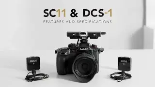 Features and Specifications of the DCS-1 and SC11