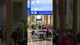 Dubai Airport 🛬 A Quick Tour   #aviationphoto #aviationpics #aviation  #aviationgeek #aviationlife