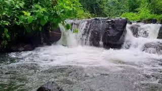 Calm River Flow for Deep Concentration &bull; 1 Hour Natural Stream Ambience for Focus 4K