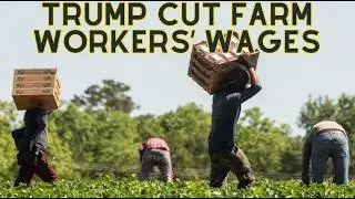 The Next Step In Trump's Plan
