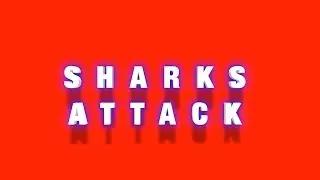 Maverik - LI Sharks - Shark Attack!
