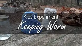 Stay Warm: Insulation Experiment