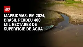 Brasil perdeu 400 mil hectares de superfície de água no último ano | CNN NOVO DIA