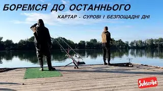 ФІНАЛ ЯКОГО МИ НЕ ОЧІКУВАЛИ😰 Турнір Family Carp Cup🏆