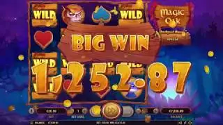 Новый слот Magic Oak от провайдера Habanero