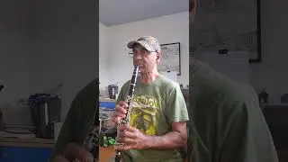 Cover - 'Dust In The Wind' - Kansas