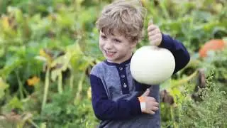 Ellm's Farm Pumpkin Patch