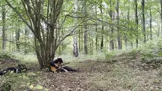 Birch Bark Blues
