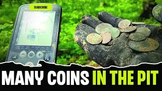 A treasure of royal coins was found under a tree in the forest.