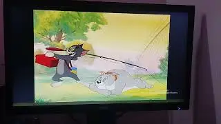 Tom& Jerry 😺😍#youtubeshorts #youtube #love #tom #jerryboy