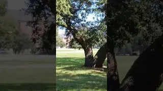 Quoth the Raven Nevermore.... Fort Monroe #asmr