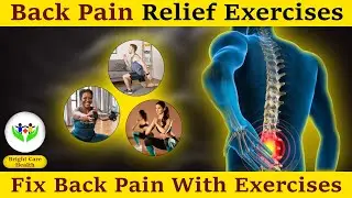 Back Pain Relief Exercises Exposed | Upper to Lower Back Secrets