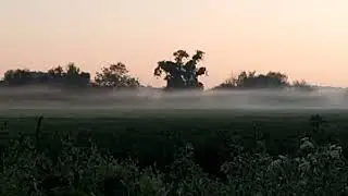 Early morning 13.06.2023