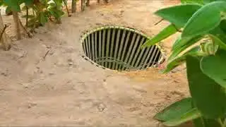 Easy snake trap Build deep hole underground python trap using big basket work