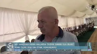 Arı sancması hansı hallarda ölümə səbəb ola bilər? - Kliniki ölümü müəyyən etmək mümkündür?