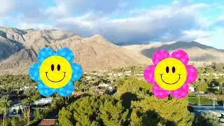 Relax  with Nature 10 stress Tensionsfree  SUNFLOWER visual Treat and meditation and affirmations