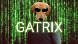 개트릭스 Matrix Parody