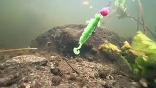 Fanatik Baits Larva Lux