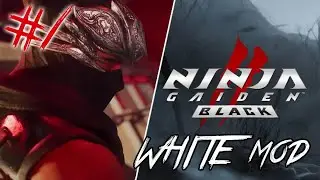 NINJA GAIDEN 2 Black / White mod [ВОИН] - Стрим #1 (05/04/25). Мясо на экране и ХАРДКОР.