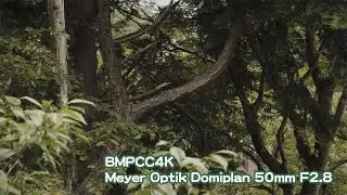 BMPCC4K Old lends Meyer Optik Domiplan 50mm F2.8 M42