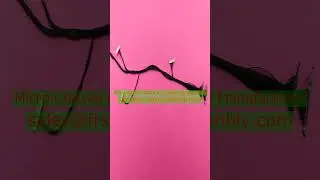 Experience Premium micro-coaxial cable b2b supplier dfm/dfx review Distributor Engineered for FPV Sy