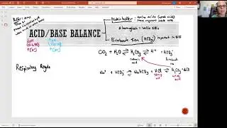 Biology 2020 Chapter 26 Fluid, Electrolyte, pH Balance: pH Balance (Video 4)