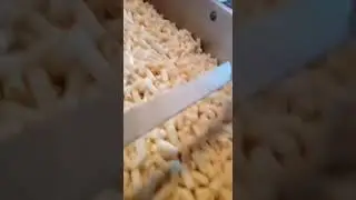 Millet Snacks/ Puff/ Cookies Processing Machinery 9080941550
