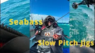 Slow Pitch Jig Sea Bass Limit Challenge with @KEPTI FISHING | Jamaica 2