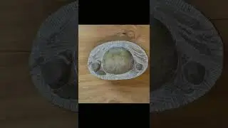 Baby Crab Timelaps 1 #fossilcollecting #fossilhunter #fossilpreparation