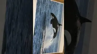 Alisha White Fakten Video