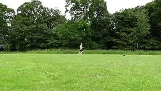 MSFT Bleep Test 16/06/25