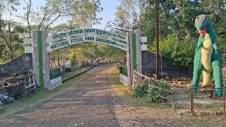 Ghughwa Fossil Park Dindori | &ldquo;Exploring India&rsquo;s Dinosaur Fossils! Ghughwa National Park Trip&rdquo;