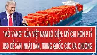 “Mỏ vàng” của Việt Nam lộ diện: Mỹ chi hơn 9 tỷ USD để săn, Nhật Bản, Trung Quốc cực ưa chuộng
