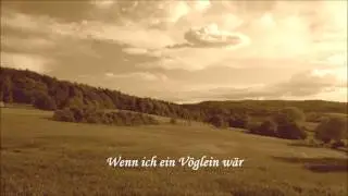 Wenn ich ein V&ouml;glein w&auml;r - Duo Heima(r)t Lied