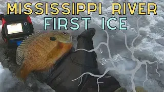 Mississippi River First Ice Bluegills | Searching for First Ice Bluegills | Tough Bite Panfish