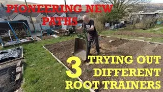 Pioneering new paths on the allotment | Comparing root trainers | Allotments For Fun and Food