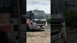 shivshahi bus msrtc #shorts